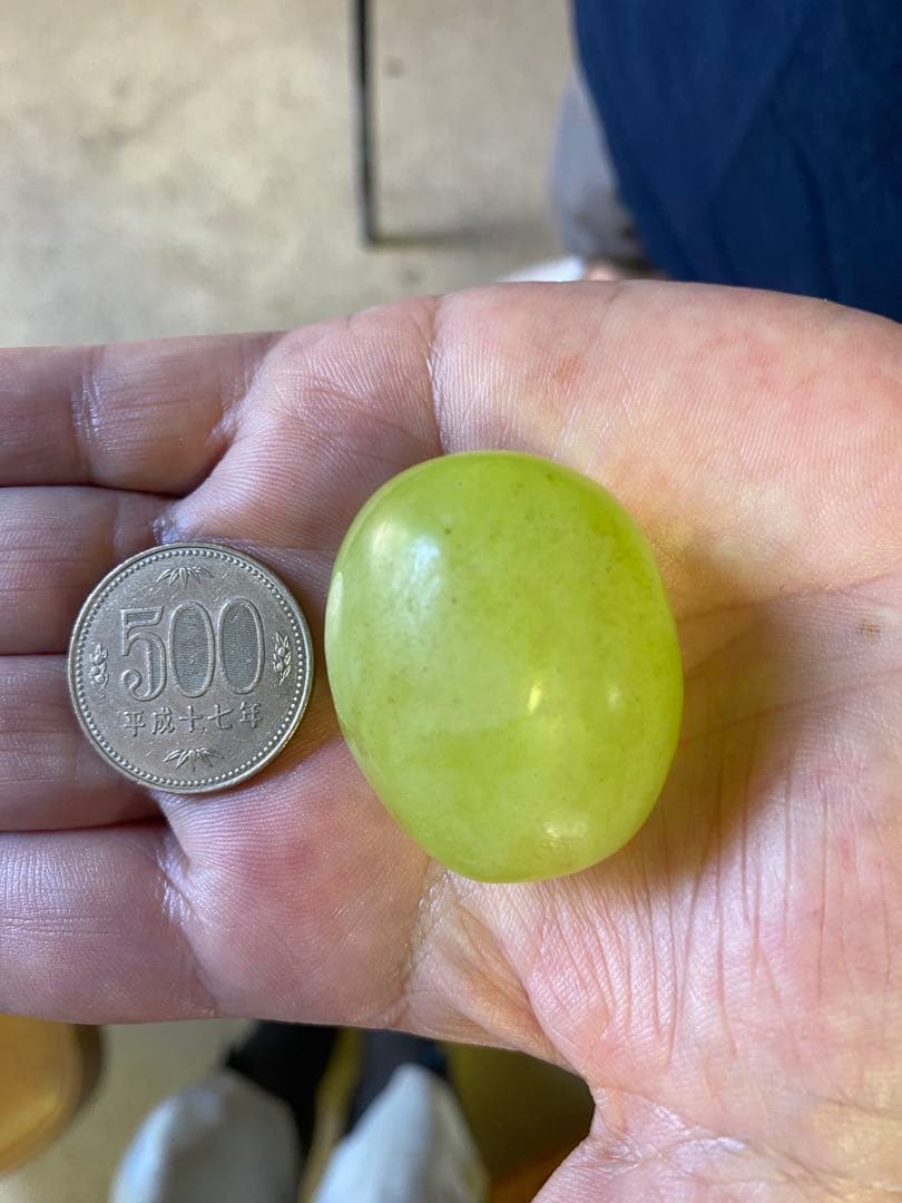 さくら 山形県産　訳あり希少品種　雄宝2箱