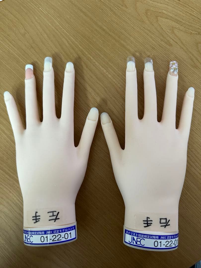 JNEC認定モデルハンド ST モデルハンド　両手