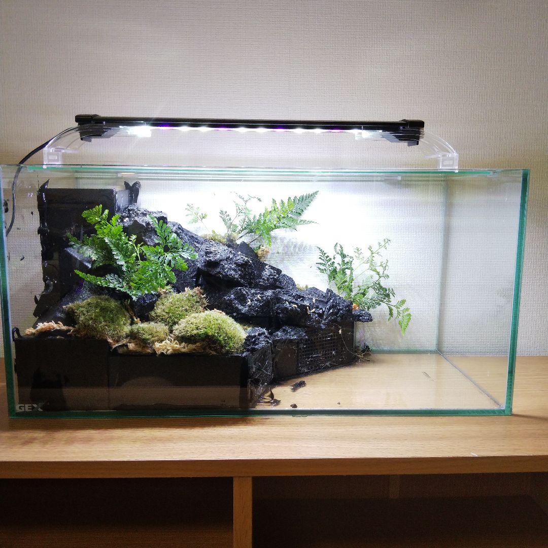 【受注生産】滝の流れるアクアテラリウム　イモリウム　苔　水槽　苔テラリウム