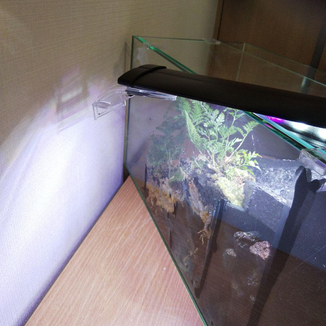 【受注生産】滝の流れるアクアテラリウム　イモリウム　苔　水槽　苔テラリウム