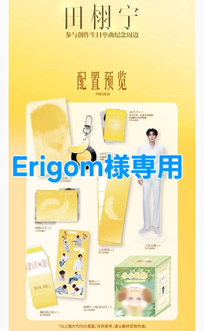 その他 Erigom