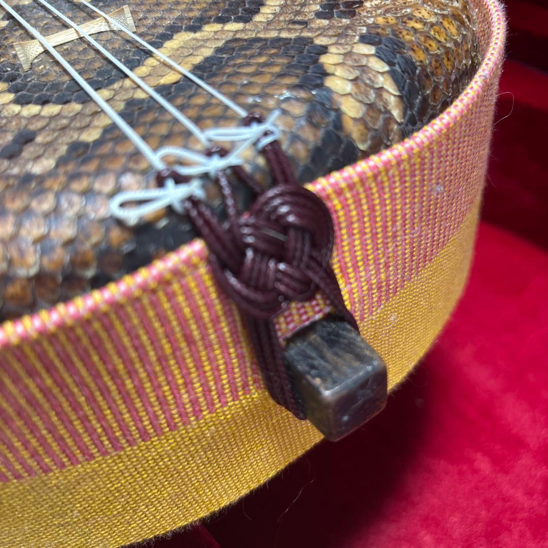 三線　セミハードケースつき