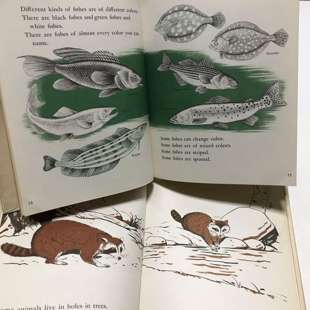 【レトロ・洋書】英語絵本／教材　LET'S FIND OUTシリーズ　全20冊