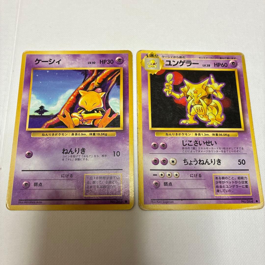 フーディン ナツメのフーディン　わるいフーディン　セット