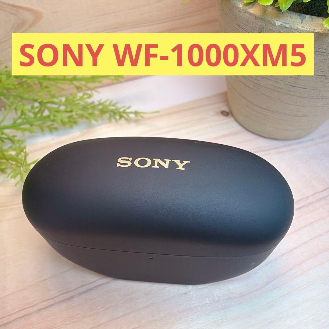 SONY WF-1000XM5 ケースのみ