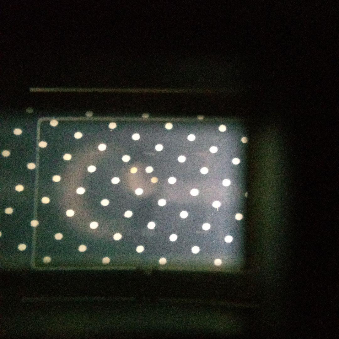 Canon P 　キャノン P