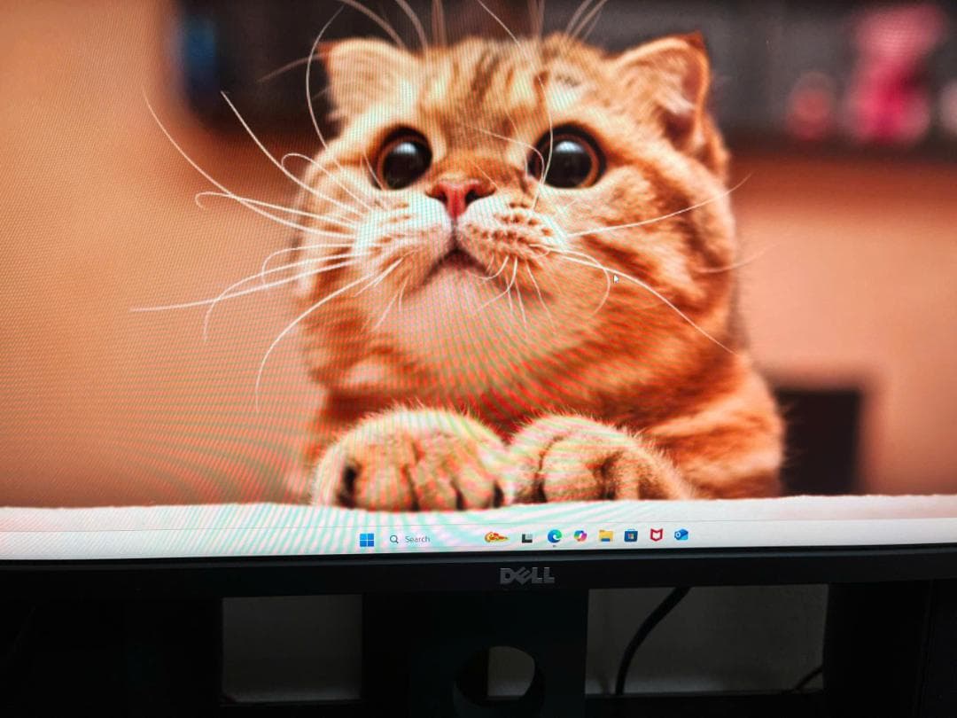 DELL UP2516D 25インチ WQHD モニター