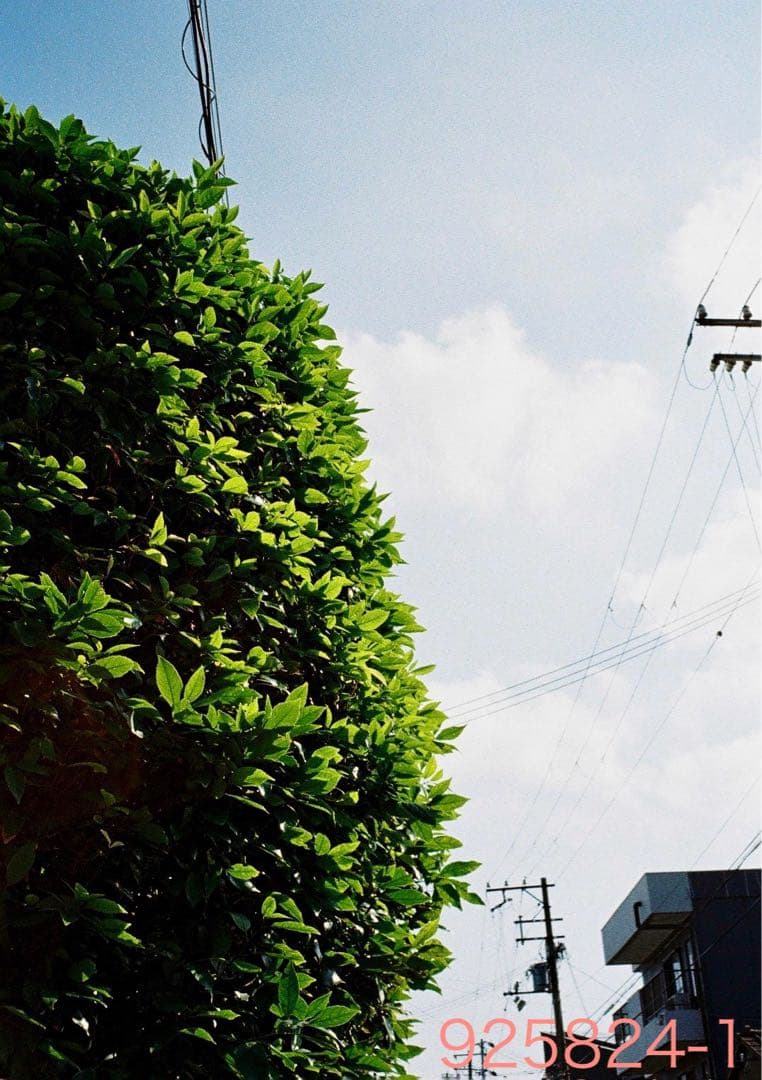 リコー　オートハーフ　 Ricoh AUTO HALF SE ブラック