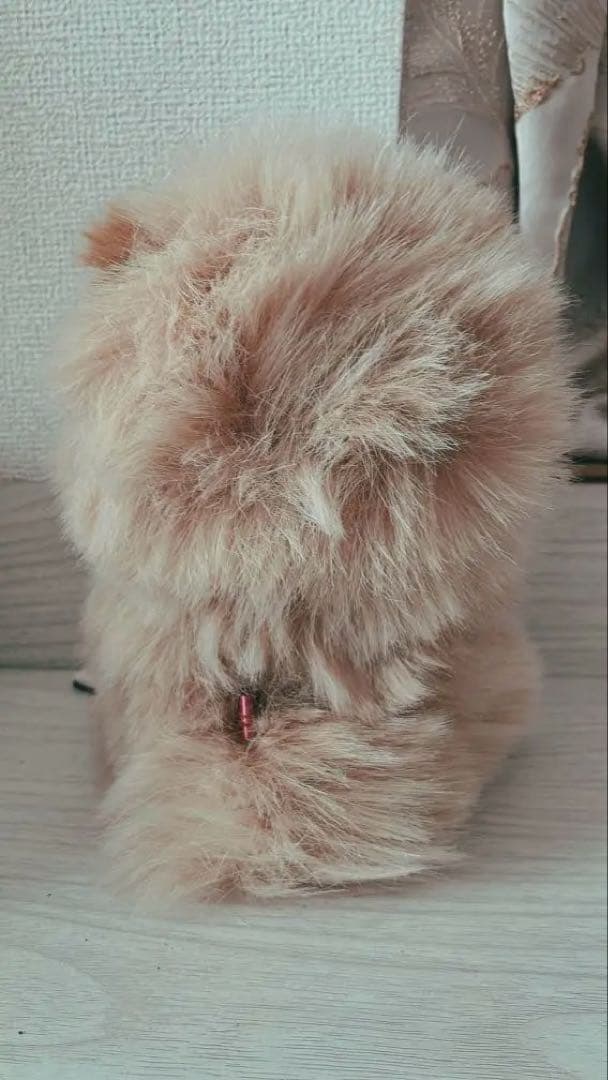 リカ⭐︎ベージュのふわふわポメラニアン♡