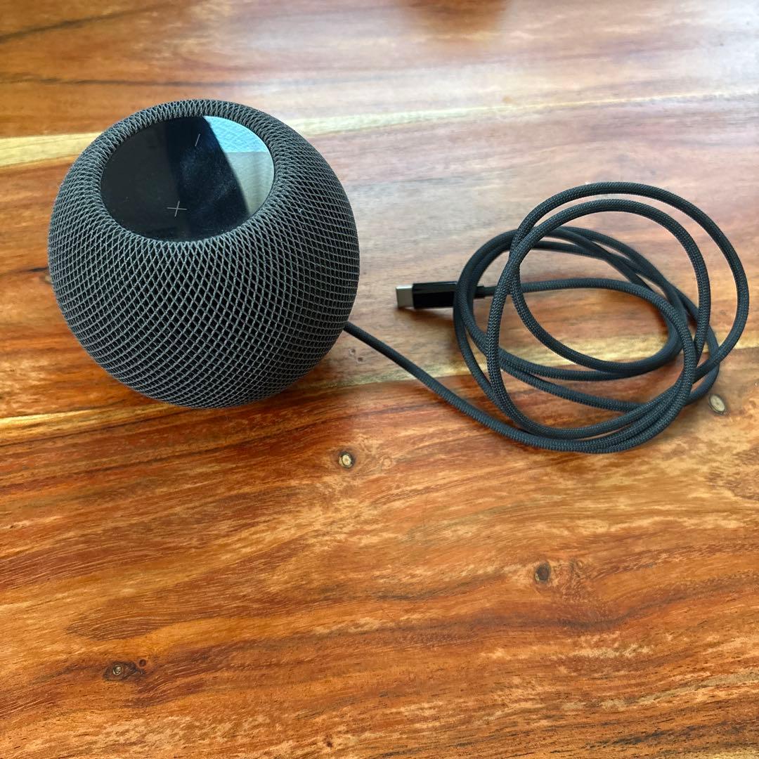 純正 Apple Pod mini アップル