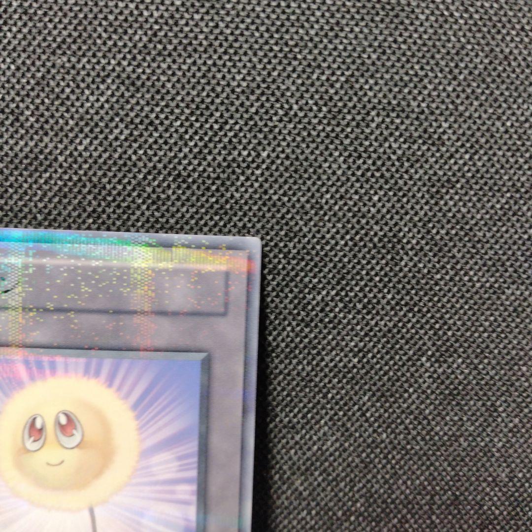 綿毛トークン パラレル 2種 TP