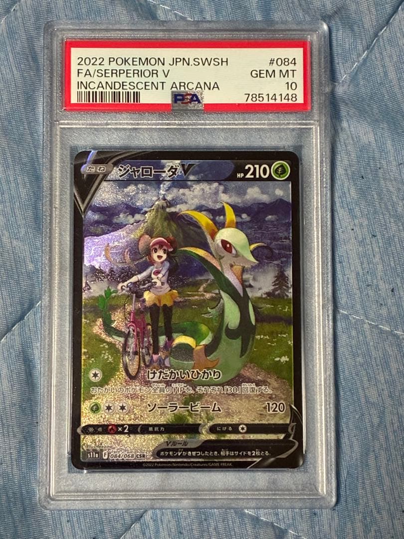 ジャローダV CSR PSA10 鑑定品