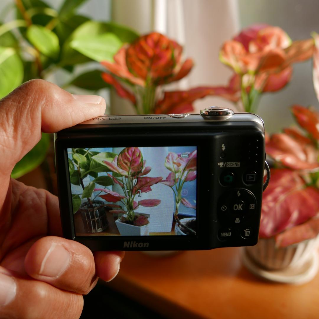 【動作確認済】Nikon COOLPIX L23 シルバー 乾電池対応 コンデジ