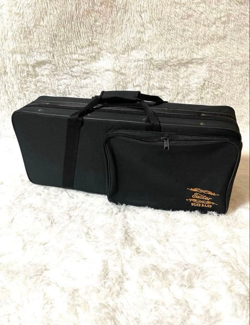 Eastarイースター　アルトサックス　初心者用