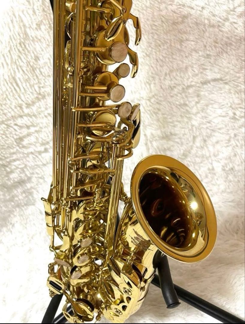 Eastarイースター　アルトサックス　初心者用