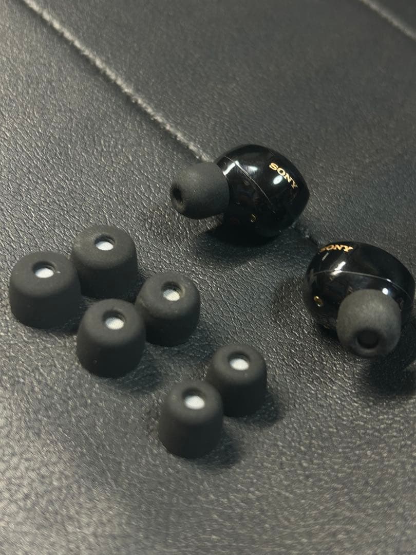 SONY ワイヤレスイヤホン WF-1000XM5 ブラック イヤホン本体