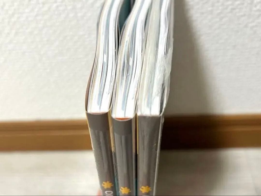 ワンピースカード 少女 P-096 プロモ 付録 マガジン 別冊 3冊セット