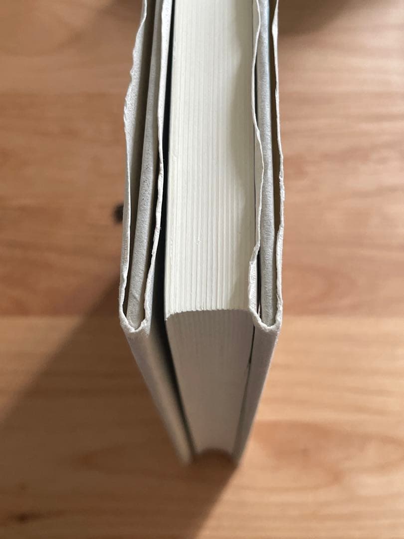 組織の〈重さ〉 : 日本的企業組織の再点検