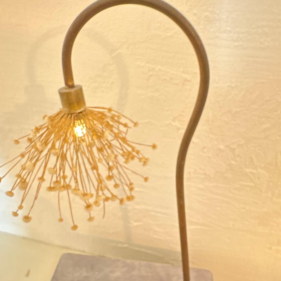 森の灯り　はいいろオオカミ＋花屋西別府商店