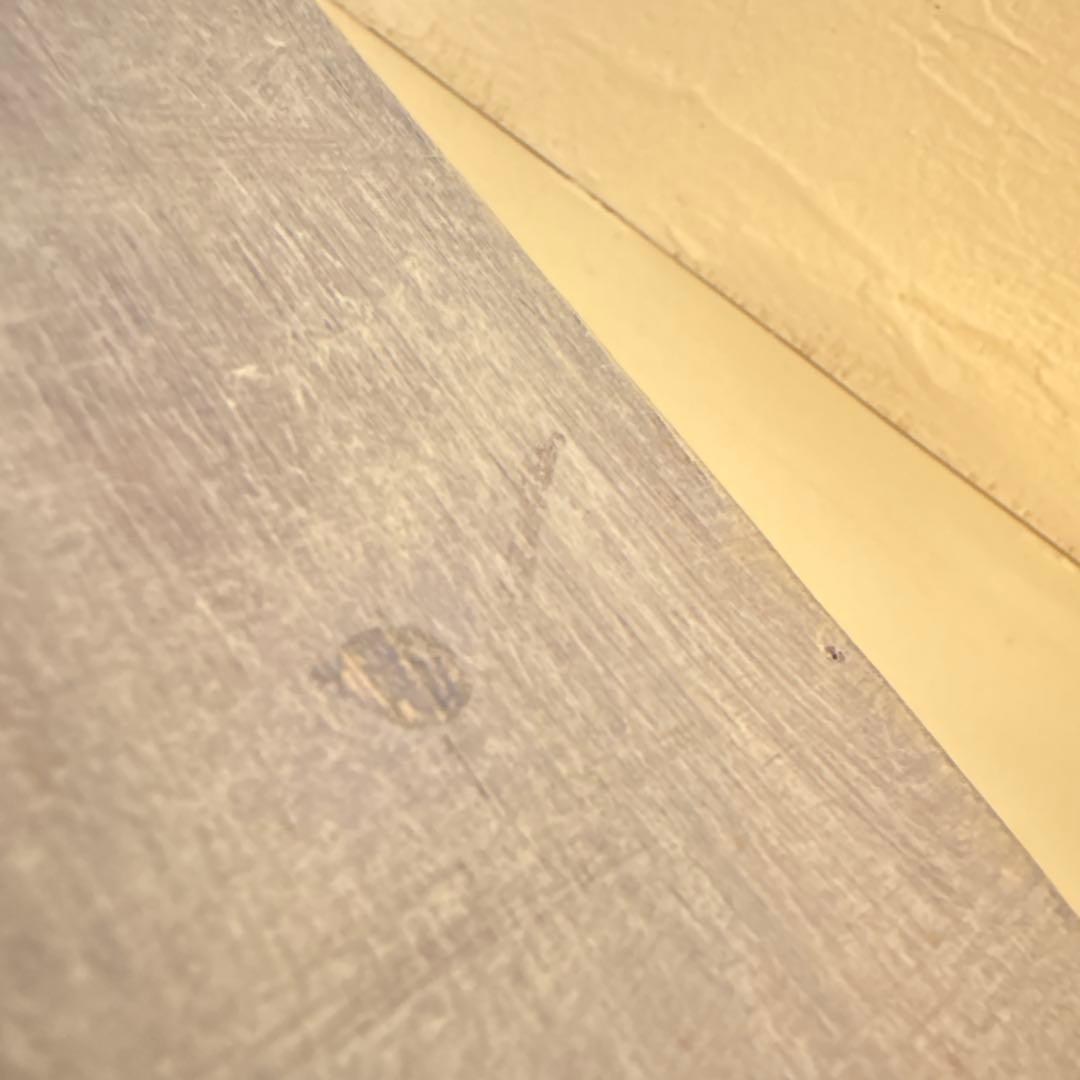 森の灯り　はいいろオオカミ＋花屋西別府商店