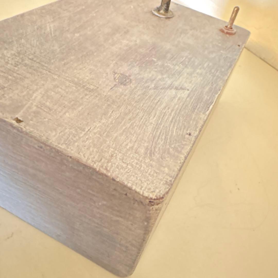 森の灯り　はいいろオオカミ＋花屋西別府商店