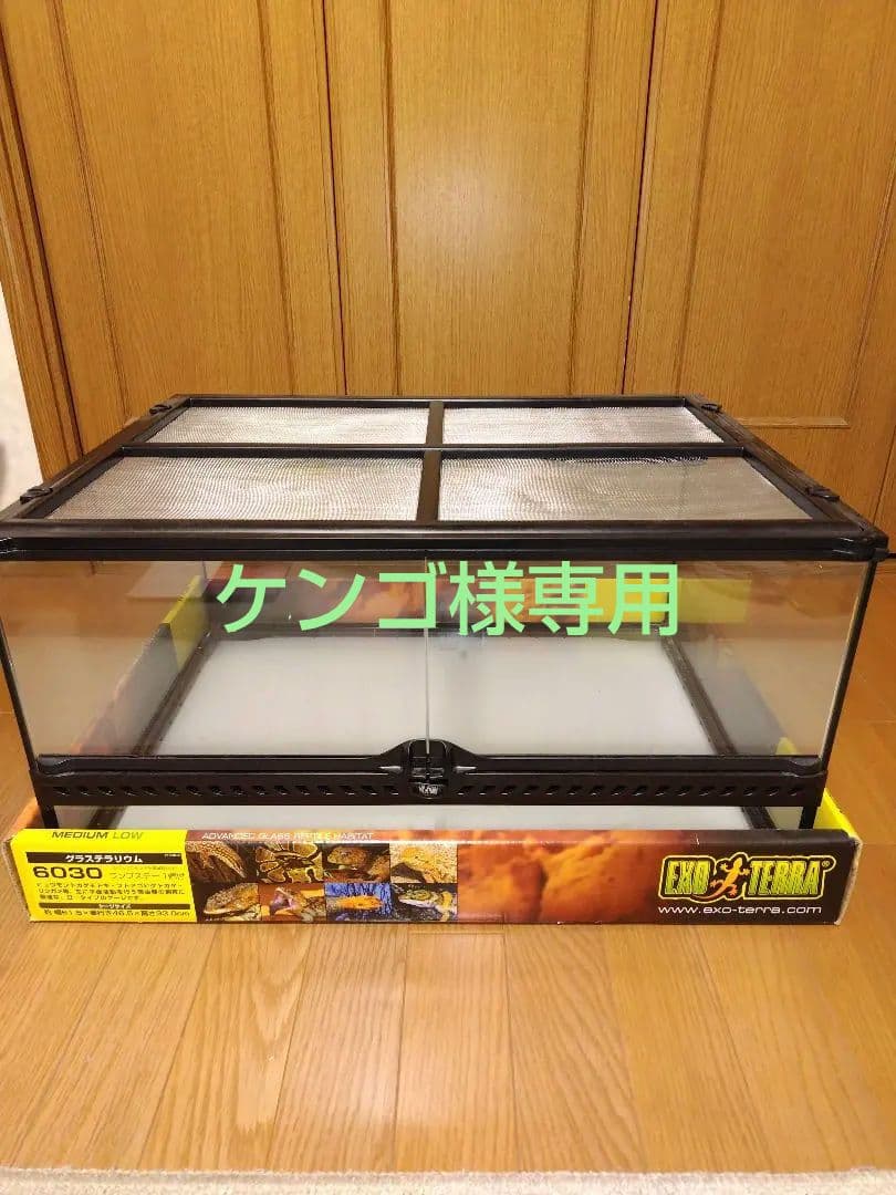 GEX　グラステラリウム6030