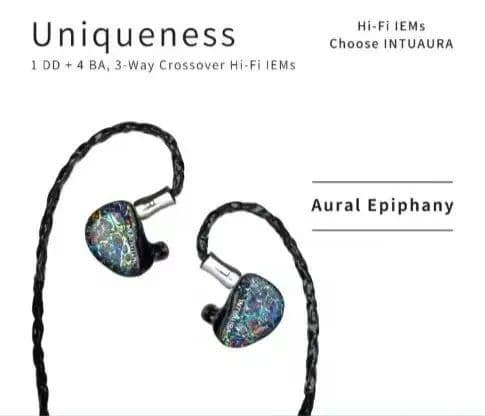 (美品)INTUAURA Uniqueness 4.4mm 1DD+4BA