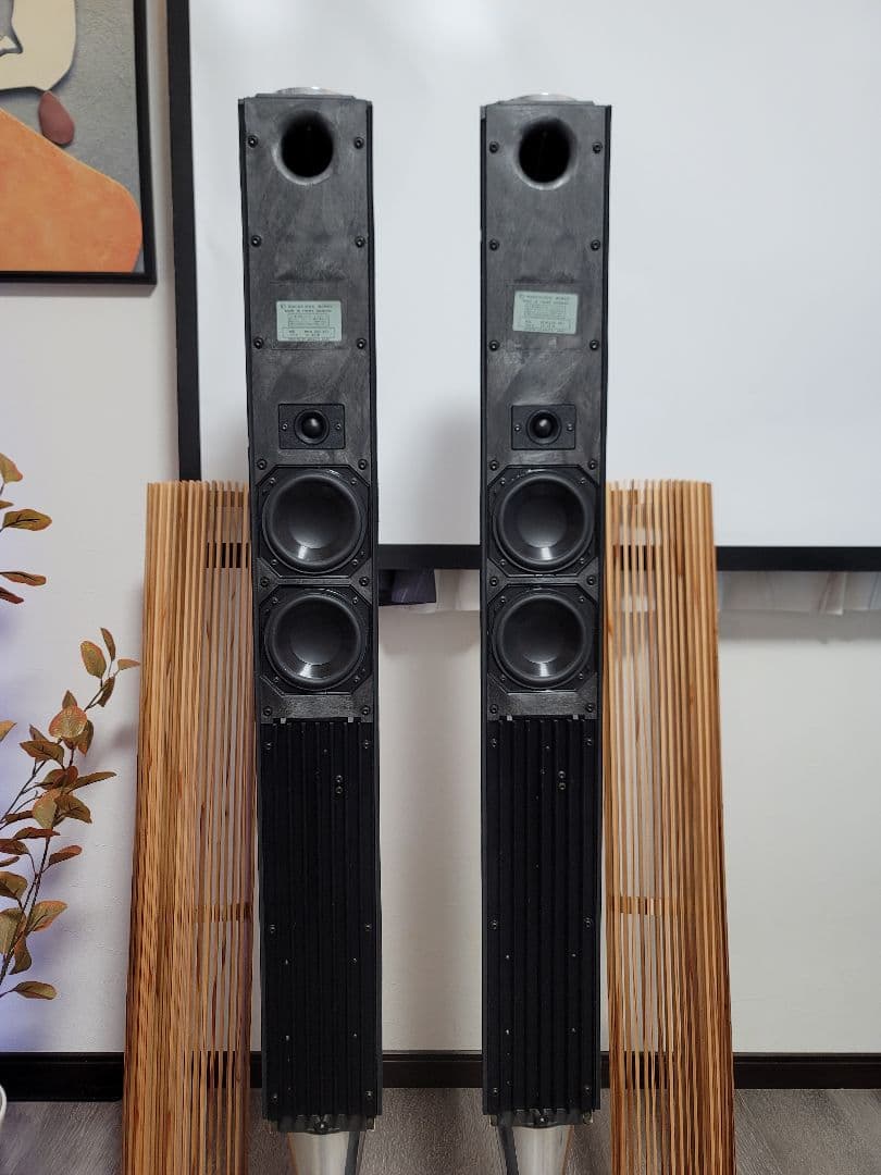 B&O バング&オルフセン BeoLab 8000 スピーカーペア天然木ケース