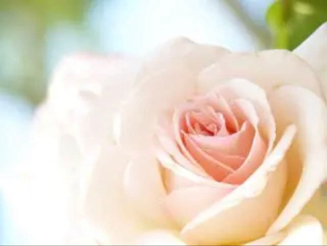 MH USK【岩塚製菓/工場直販店限定】おまとめページ