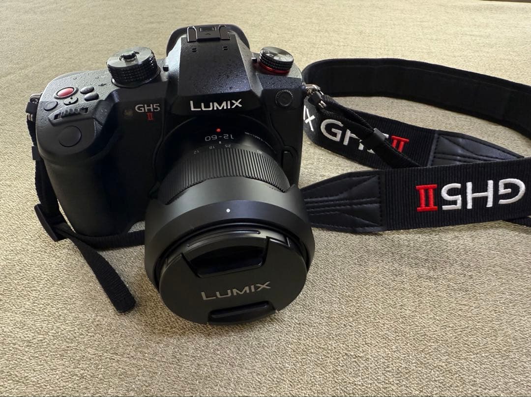LUMIX GH5 II デジタル一眼レフ 本体標準ズームレンズキット