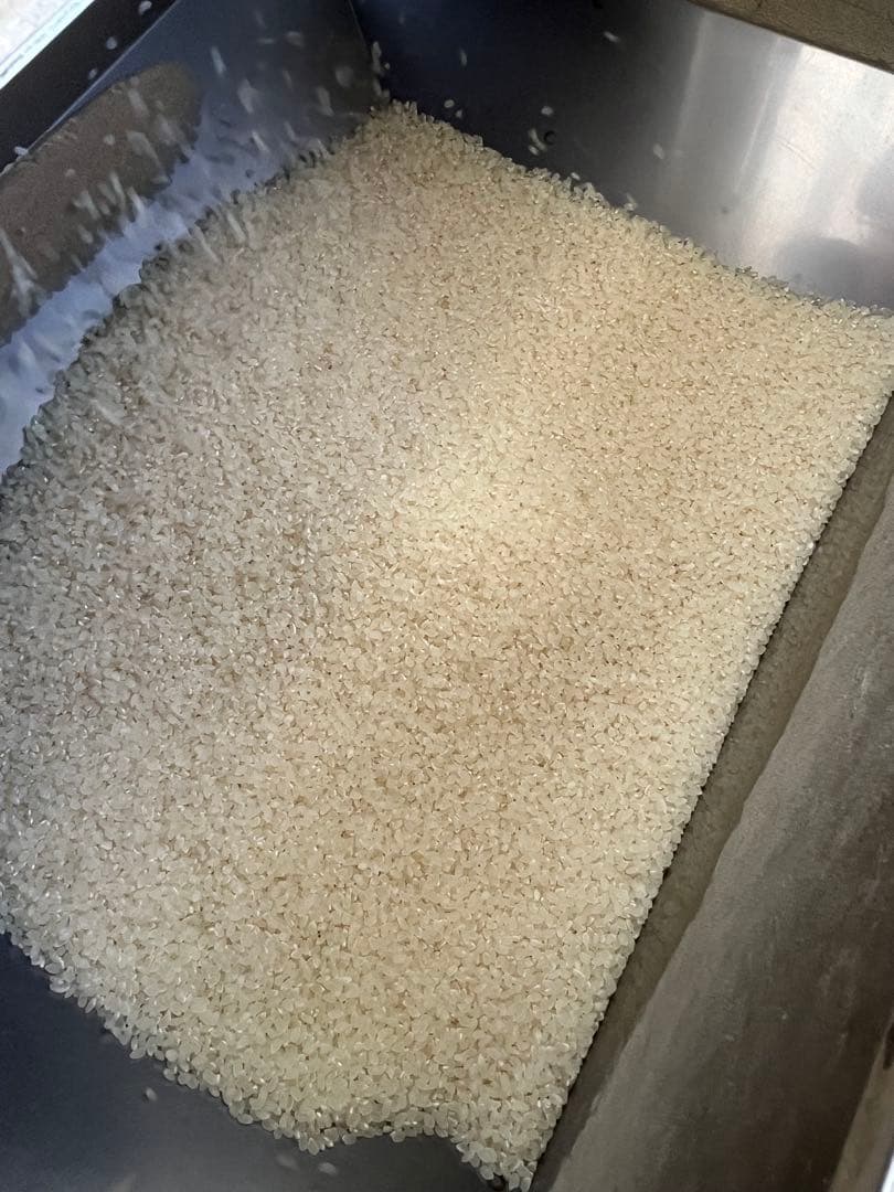 山梨県産 武川米　コシヒカリ 10kg 玄米　白米　令和七年度産