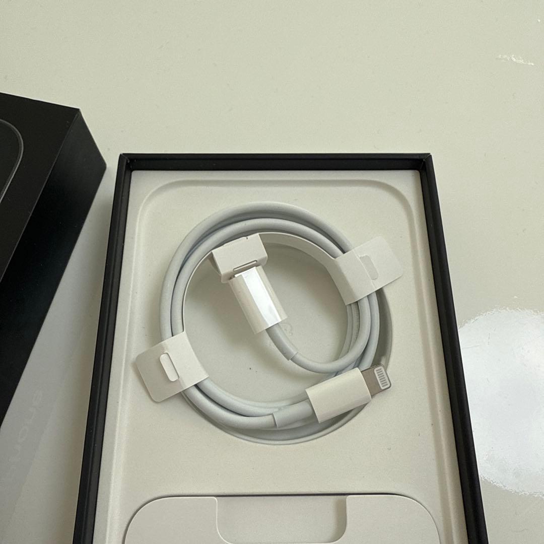 iPhone 12ProMAX Silver（シルバー）256GB ケースおまけ