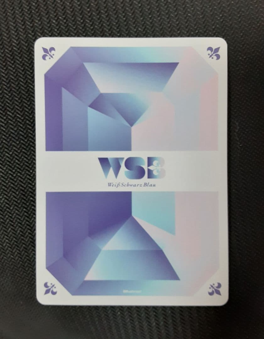 ヴァイスシュヴァルツブラウ 的場静司 SSP