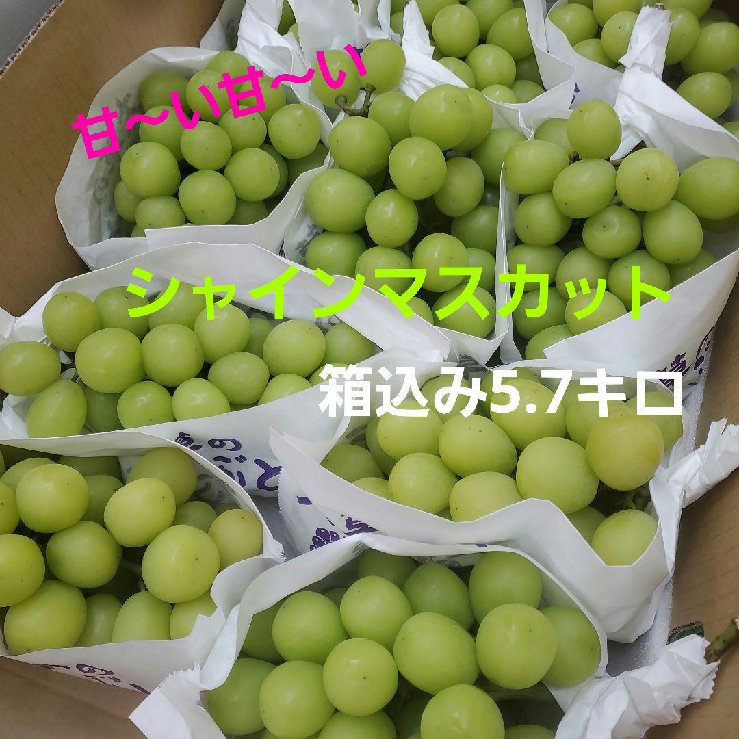 4️⃣ 山梨県産 シャインマスカット １０房入り 箱込み5.7キロ