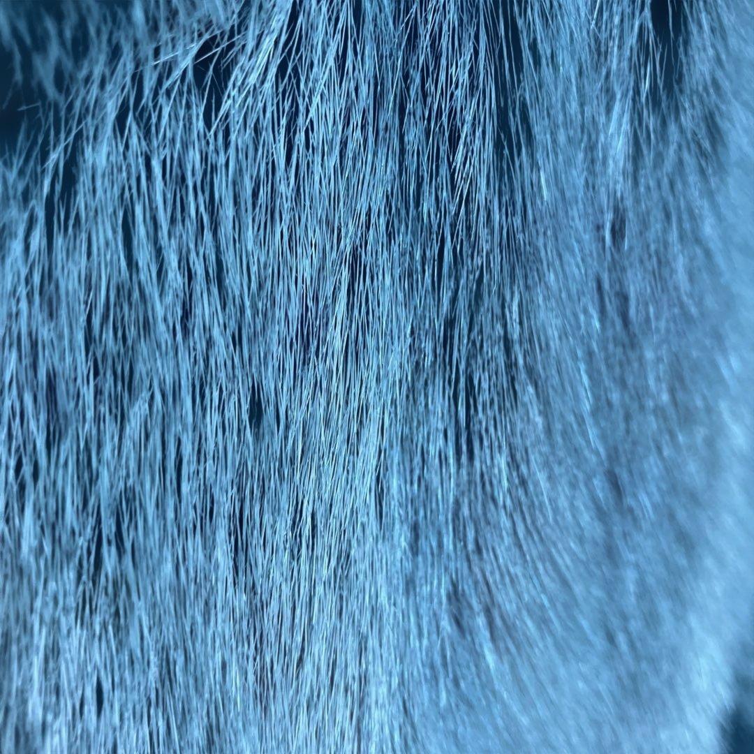 ミンクベスト　ブルー　少し日焼けあり