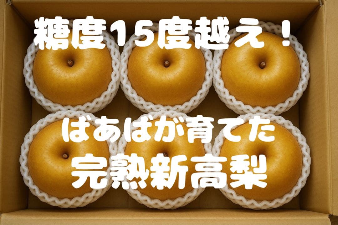 【ぱこさま専用】ばあばが育てた完熟新高梨12個
