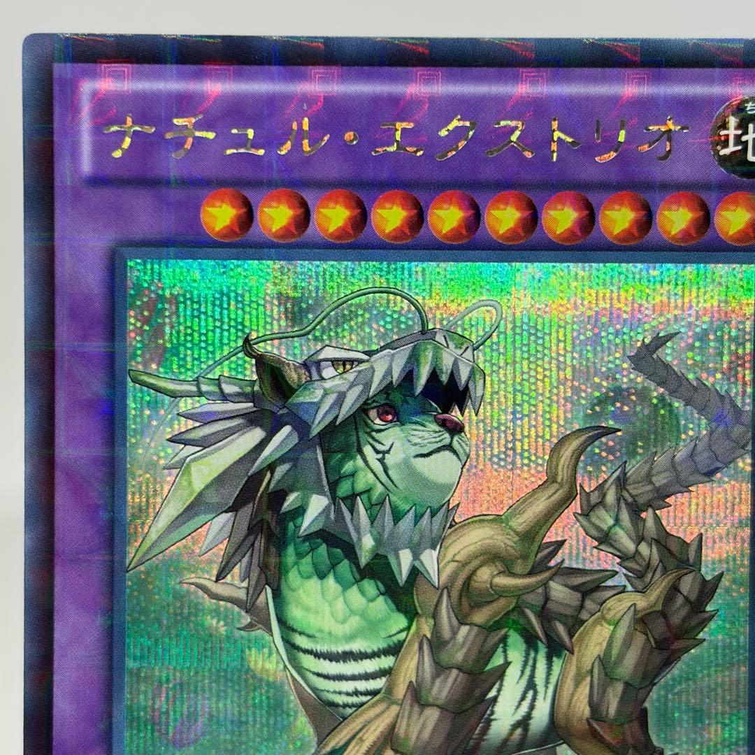 ナチュルエクストリオ　DTC　シークレット