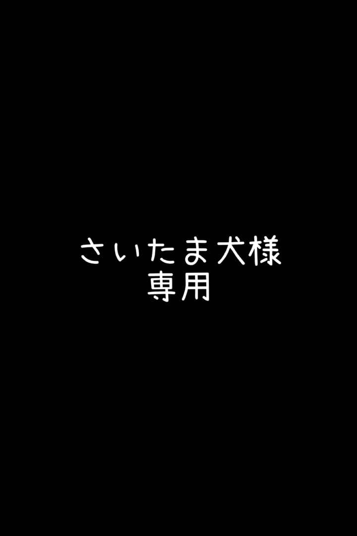 さいたま犬　食品サンプル　持ち上げハイボール　白州