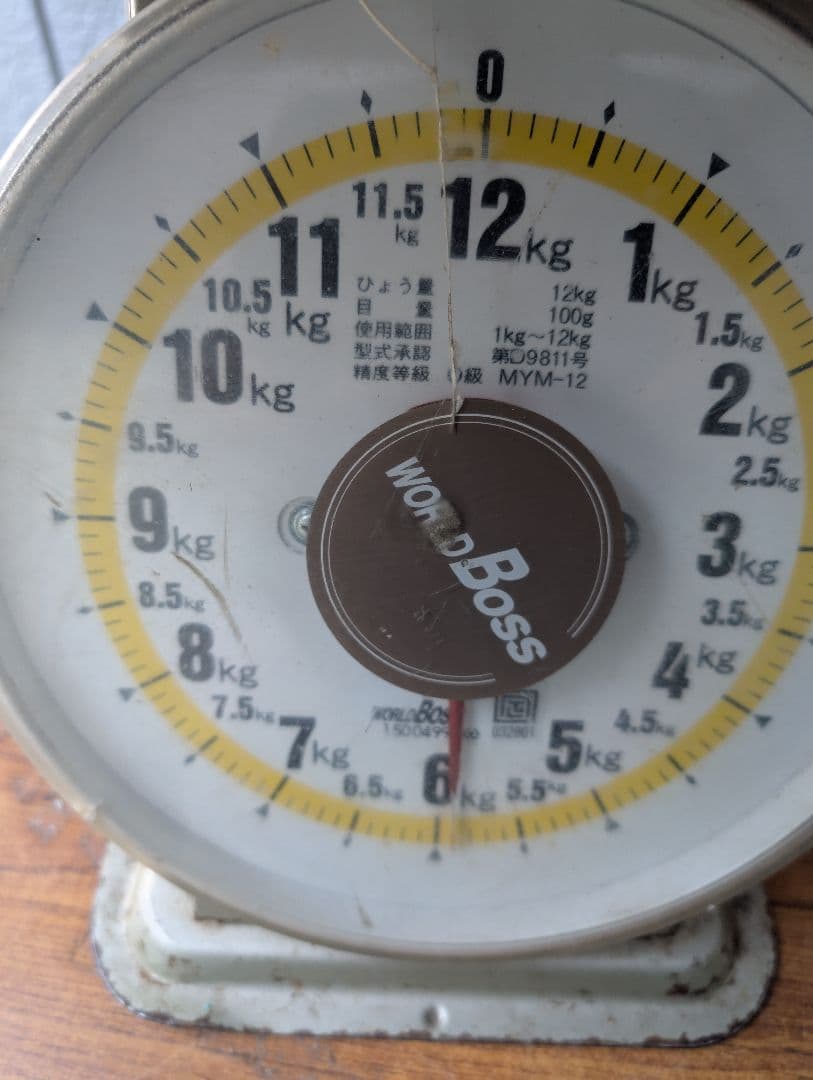 山梨県産ぶどう　共選品シャインマスカット　9房入り箱込み約5.9kg