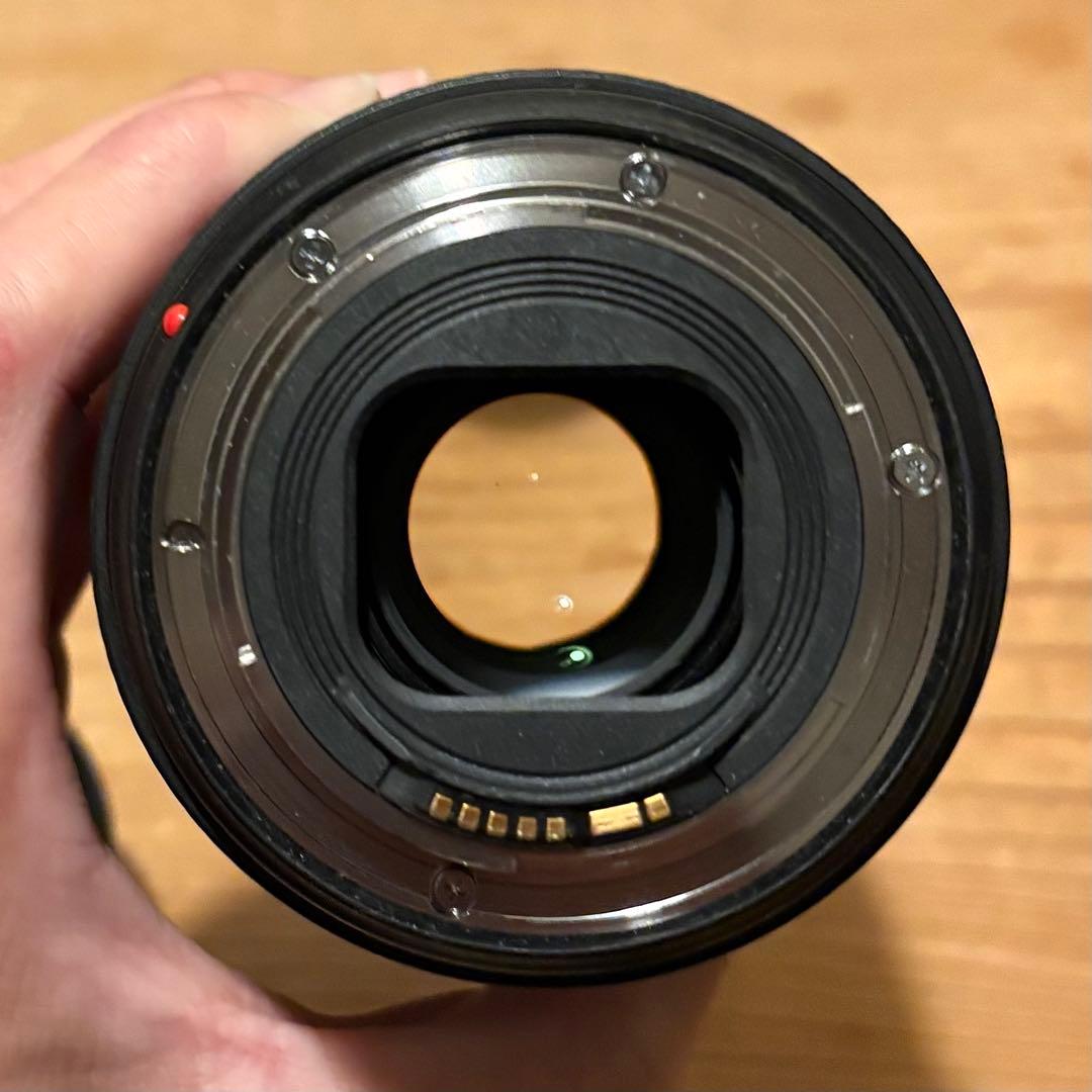 Canon 24-105mm F4 L IS Ⅱ USM