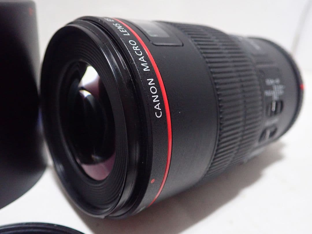 EF-100 macro f2.8L IS USM マクロ