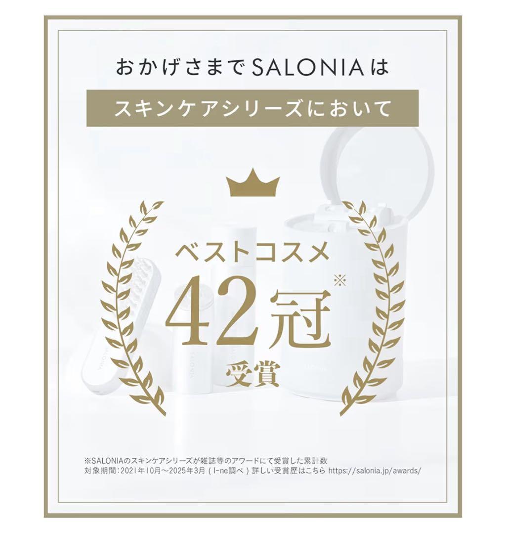 SALONIA フェイススチーマー グレー 箱+コード付き