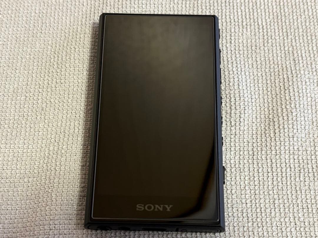 SONY ウォークマン NW-A306 デジタルオーディオプレーヤー　ケース付き