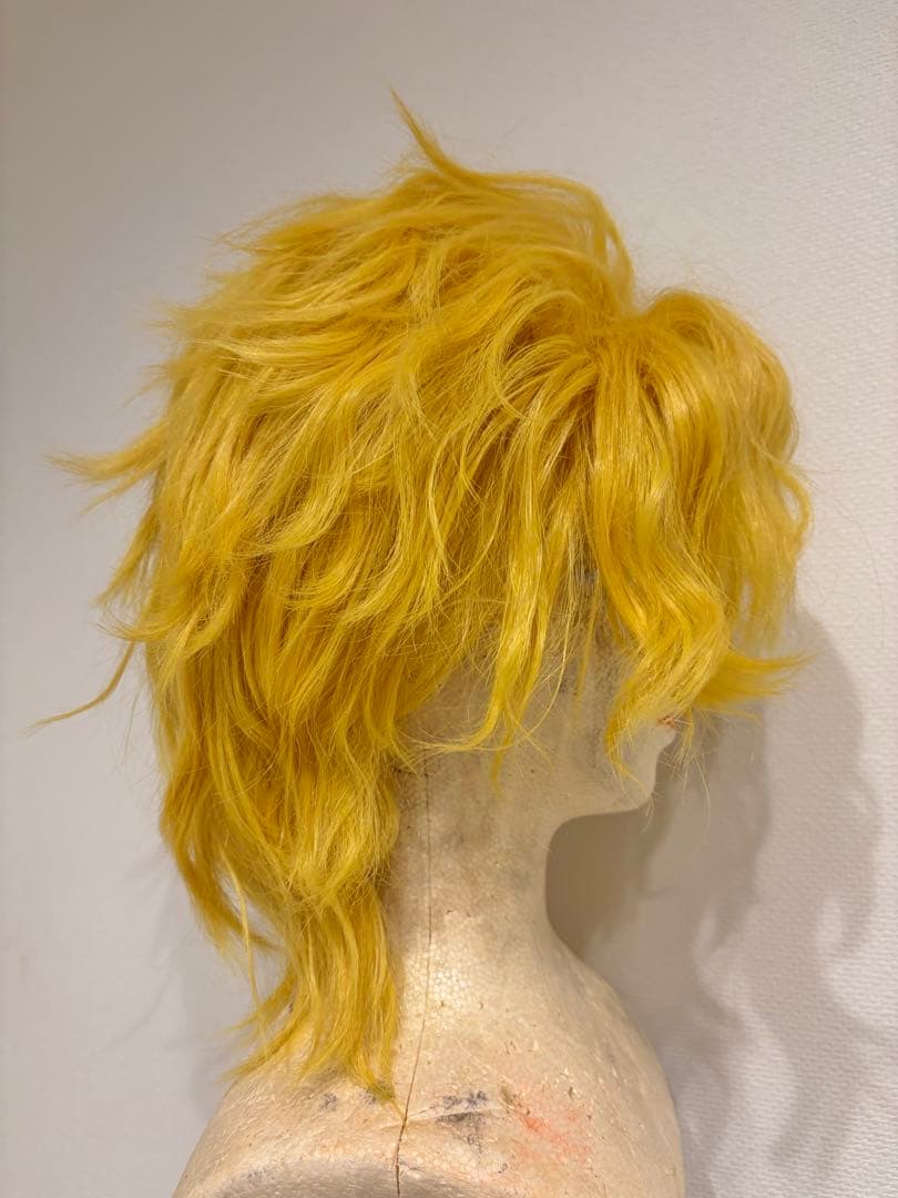 【出品1/20まで】ジョジョ DIO コスプレフルセット