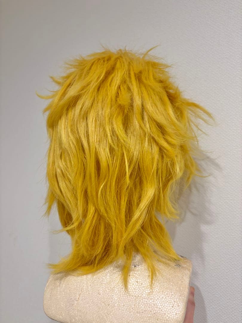 【出品1/20まで】ジョジョ DIO コスプレフルセット