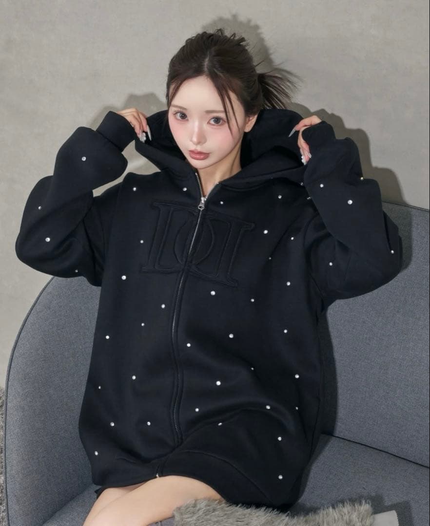 新品未開封 Darich DDロゴビージュジップパーカー