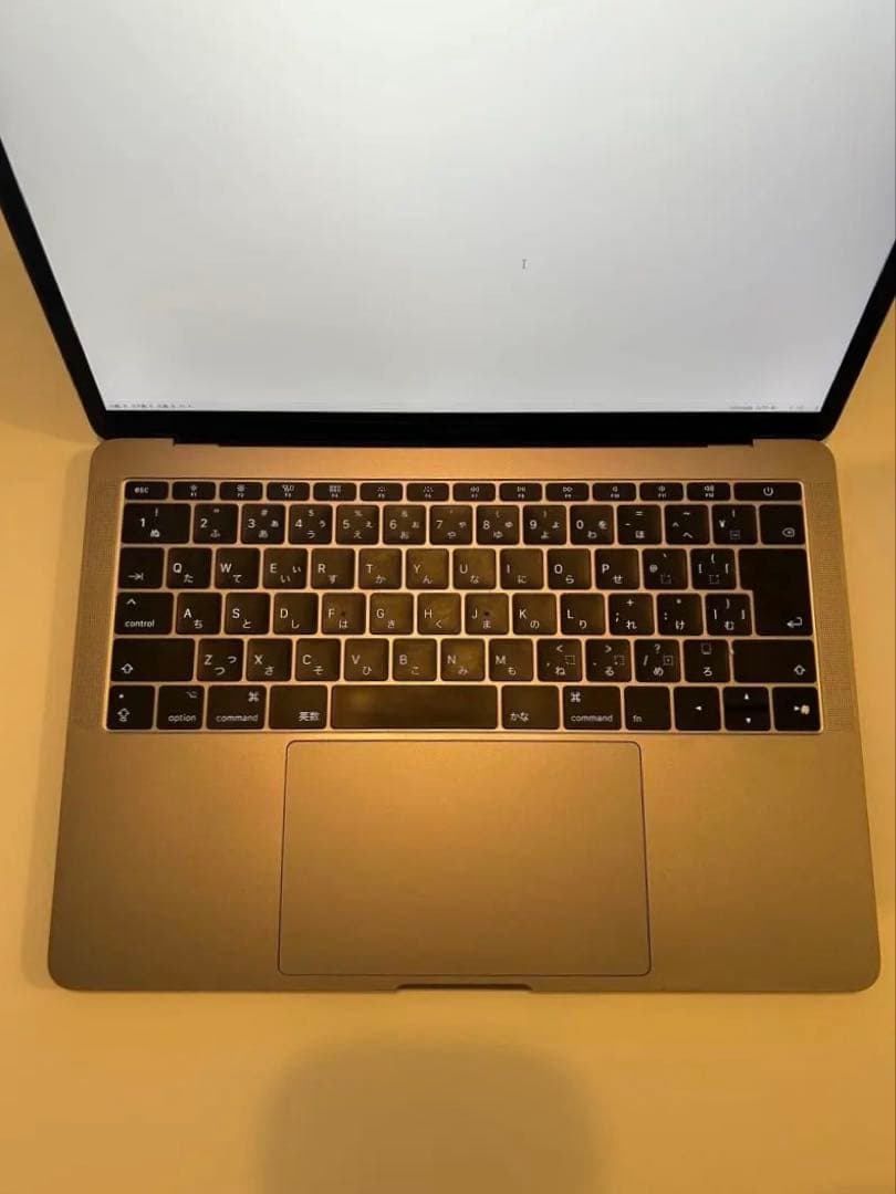MacBook Pro 13インチ 2017 SSD256GBメモリ16GB