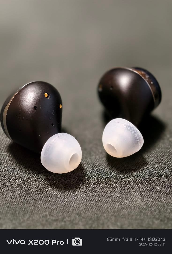 Noble Audio Falcon Max 本体・ケースのみ