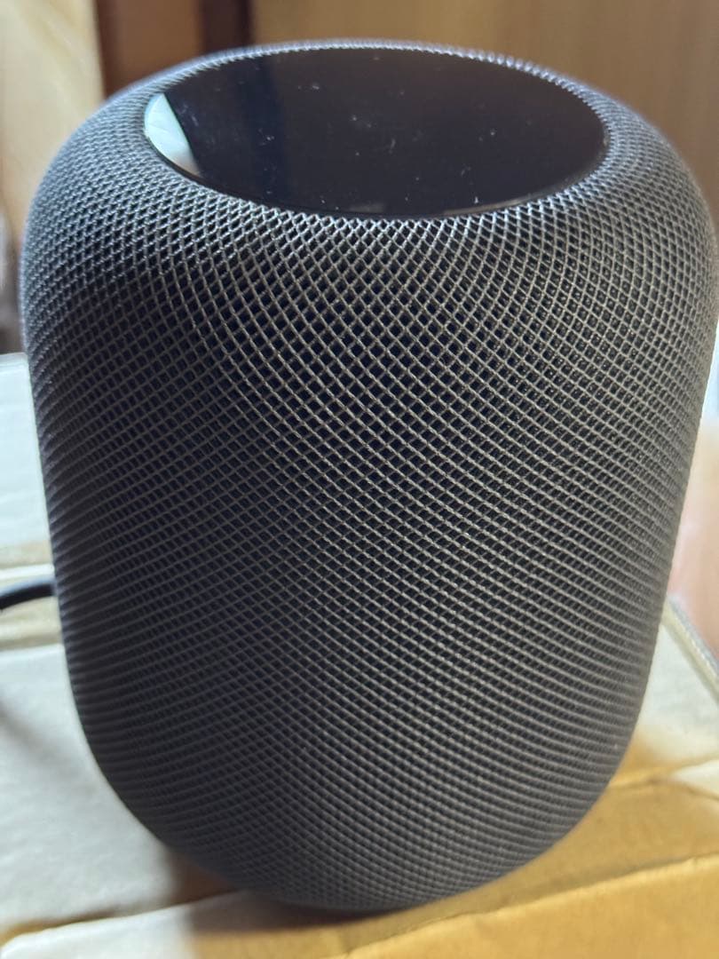 p*a様 【ジャンク】Pod (第1世代)