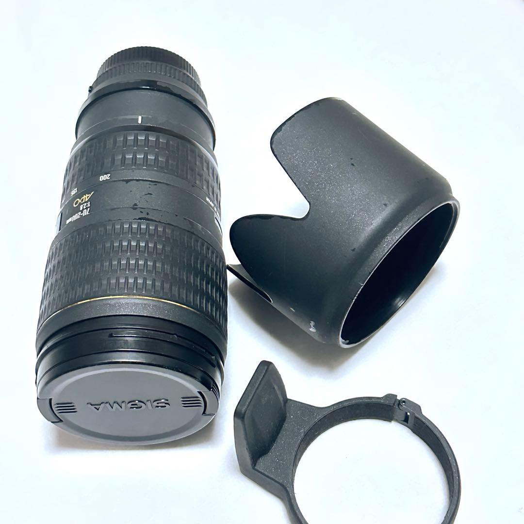 SIGMA 70-200mm f/2.8 APO ズームレンズ